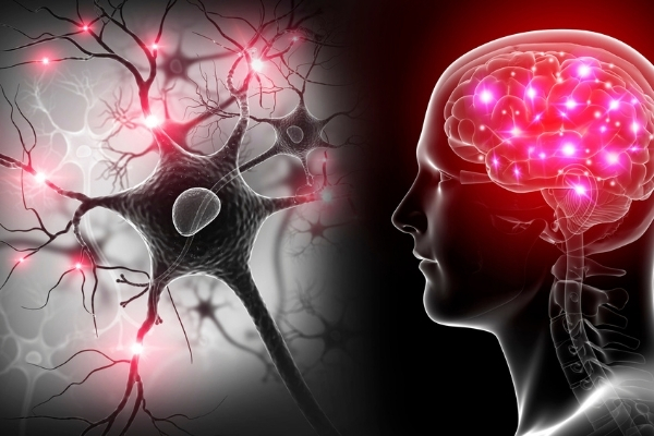 ضباب الدماغ: الأعراض والأسباب