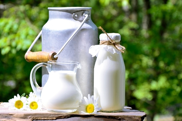 الفرق بين عدم تحمل اللاكتوز و حساسية الحليب