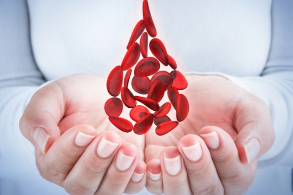 أهم المعلومات عن اضطرابات الدم