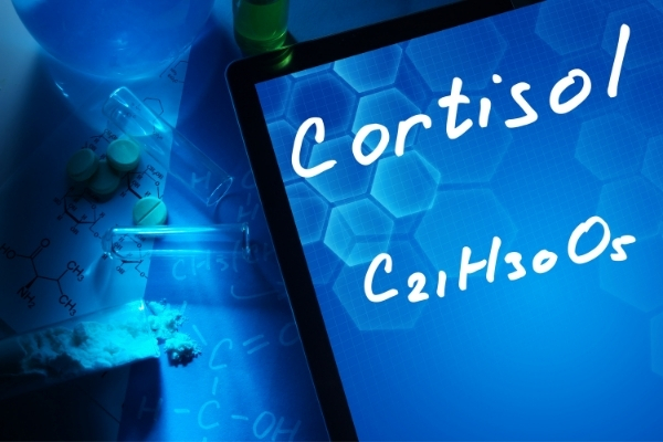 الفرق بين الكورتيزون والكورتيزول